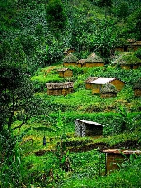 m_angalisi's tweet photo. #RwandaIsKiling,
#VisitDRCongo https://t.co/t6x7262Sxo