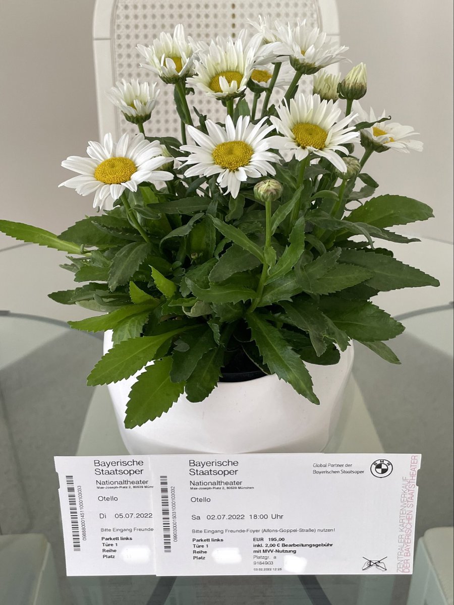 twitti100's tweet photo. It‘s only Monday but I‘m already looking forward to the weekend and Verdi‘s Otello with @GeraldFinley, @MaestroGKC and @RWSing at @bay_staatsoper! 
#BSOotello #BSOopernfestspiele https://t.co/NluPI7a9py