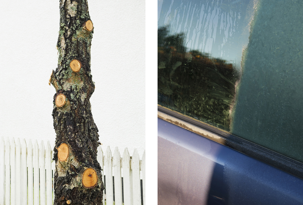 Fragments | Iain Sarjeant anotherplacemag.tumblr.com/post/688233478…
Volume 1 of the series is available to pre-order over at <a href="/AP__books/">Another Place Press</a> anotherplacepress.bigcartel.com/product/fragme… @iainsarjeant