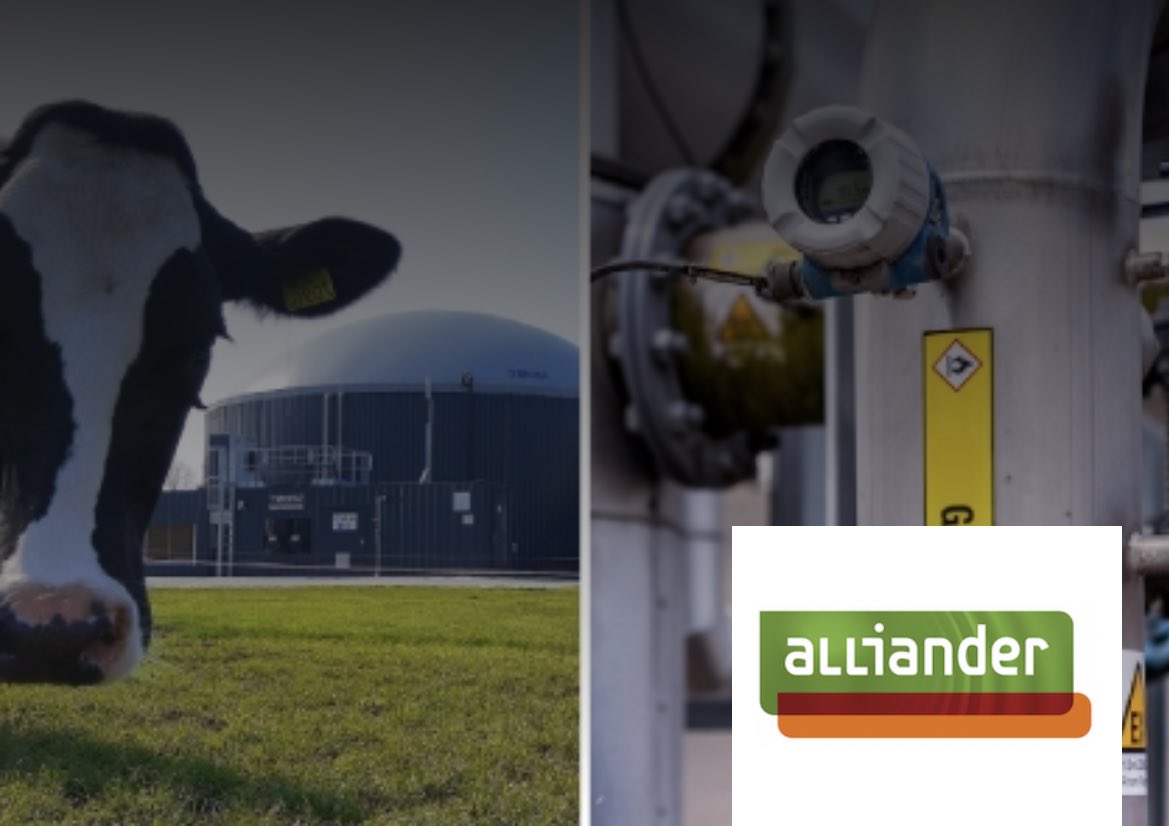 ￼
Gezocht: oplossingen voor het overschot van groen gas in de zomermaanden. ☀️🌱

Heb jij een goedkopere oplossing dan de infrastructuur uitbreiden voor groen gas? Een slimmer idee dan alleen affakkelen? Stuur je pitch in! 
starthubs.co/nl/alliander/g…