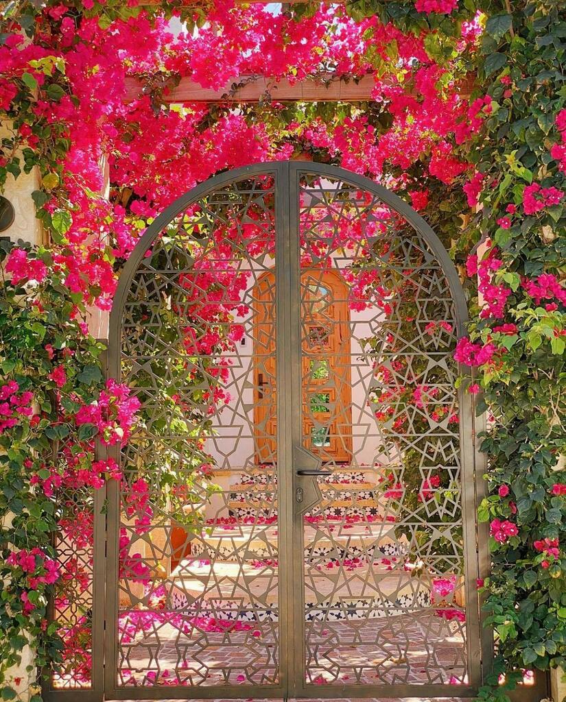 voyagenfrancais's tweet photo. [MIAMI en français] Les Bougainvilliers sont omniprésents ici et en comme il n’y a pas d’automne, en fleur toute l’année.
.
📸 @sojournstyle 
.
.
#miami #miamibeach #plambeach  #endlesssummer #underthepalmtrees #caribbeanstyle #lifeatthebeach #livingthedream #instapic #photoo… https://t.co/nKWz9AbGPU