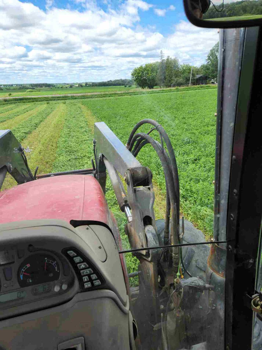 Second cut has miraculously started in some places in the #OttawaValley. A handful of people got an exceptional early cut 20-26% pro., with a 22% average thus far. Some haven’t finished yet - so we are using first for heifers &amp; filler feed. Gotta restart the ⏰ #PurinaProactiv