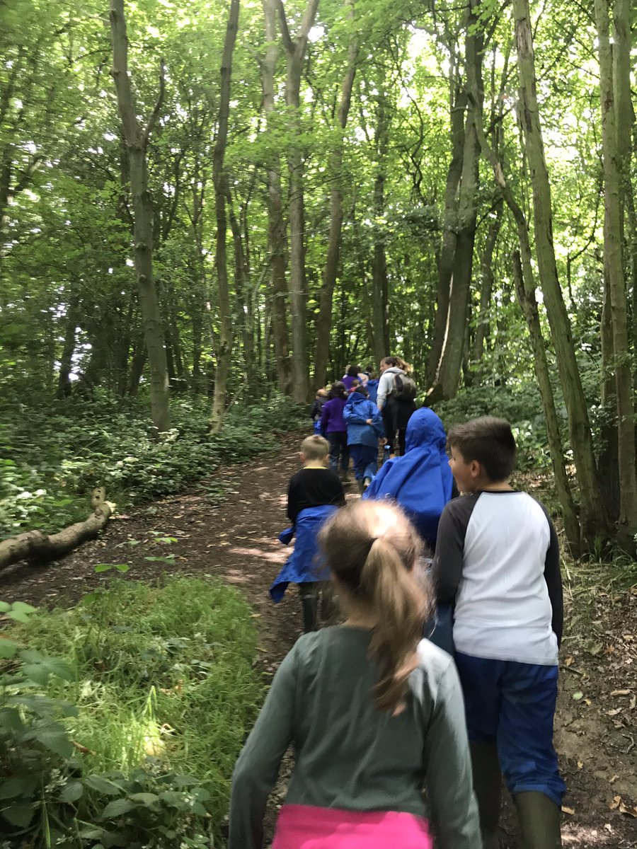 HMAthena6's tweet photo. We have had a lovely day up at Everdon Stubbs. @primary_hall @InMAT_ @EverdonOLC https://t.co/NYZWf9JXSm