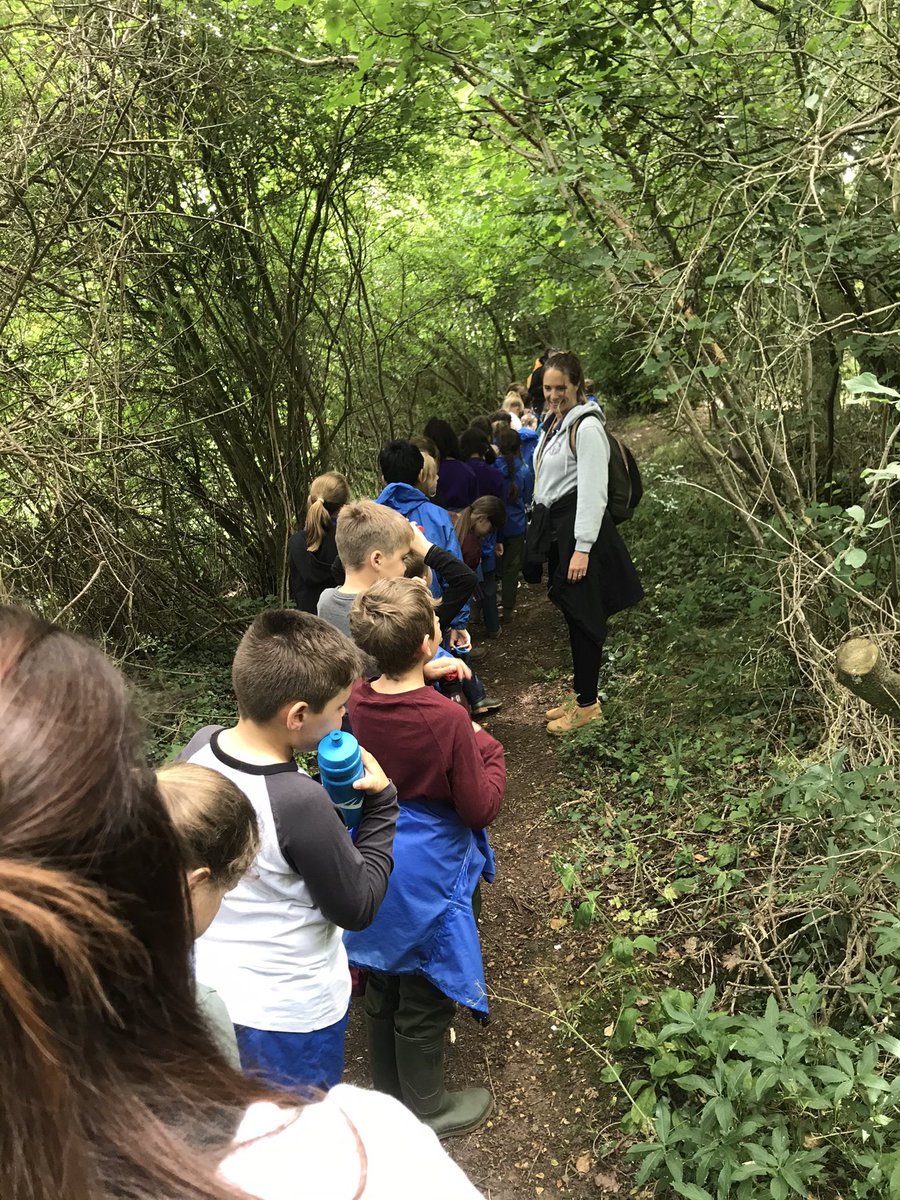 HMAthena6's tweet photo. We have had a lovely day up at Everdon Stubbs. @primary_hall @InMAT_ @EverdonOLC https://t.co/NYZWf9JXSm