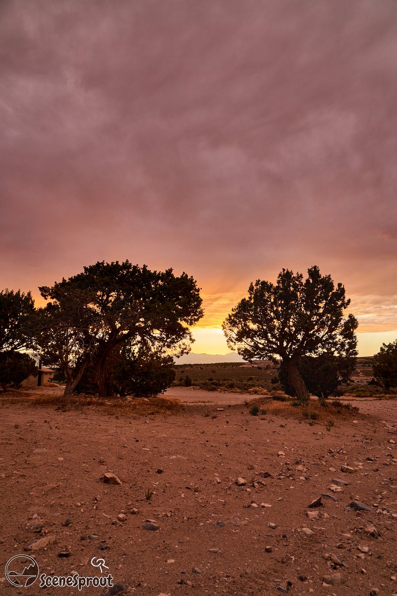 SceneSprout's tweet image. So this coming Friday. July 1st I will be heading to Yellowstone/Tetons for a few weeks and hope to bring back a TON of amazing shots for you all to enjoy. For now though I thought Id share my most recent shots. #NaturePhotography #photo