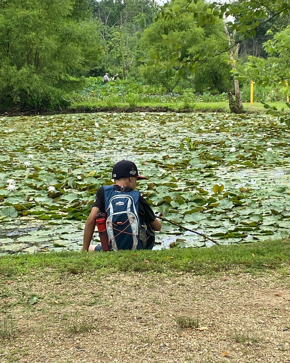 UrbanAdvSquad's tweet image. The exploration and learning have begun! (Yes, it’s raining—we’re good.) Thank you, Shannah of @KenAqGardens for the tents!
#JuniorRangerAdventureSquad 
#UASSummer2022