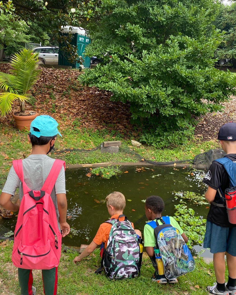 UrbanAdvSquad's tweet image. The exploration and learning have begun! (Yes, it’s raining—we’re good.) Thank you, Shannah of @KenAqGardens for the tents!
#JuniorRangerAdventureSquad 
#UASSummer2022