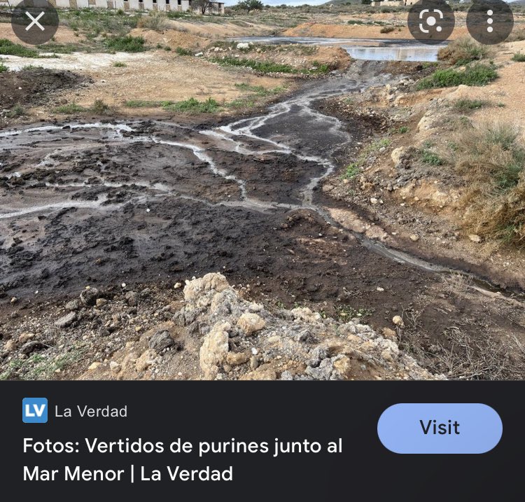 AchoRevolution's tweet photo. Ya lo predijeron los Simpson.

Purines de las macrogranjas al Mar Menor 👇🏼 https://t.co/iUuYDwffPu