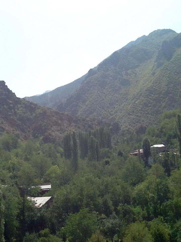 İliç'in zehirleyen Çalık holding #Artvin HOD köylerinde 8 bin hektarlık bir alanda altın madeni açmak istiyor. Halk kamulaştırmaya direniyor.
İliç'i zehirleyen şirketler başka vadileri yok etmesin diye para cezası yetmez tüm madenler kapatılsın 
#FıratAltındanDeğerlidir