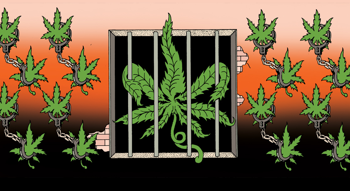 Cash Only tweet media