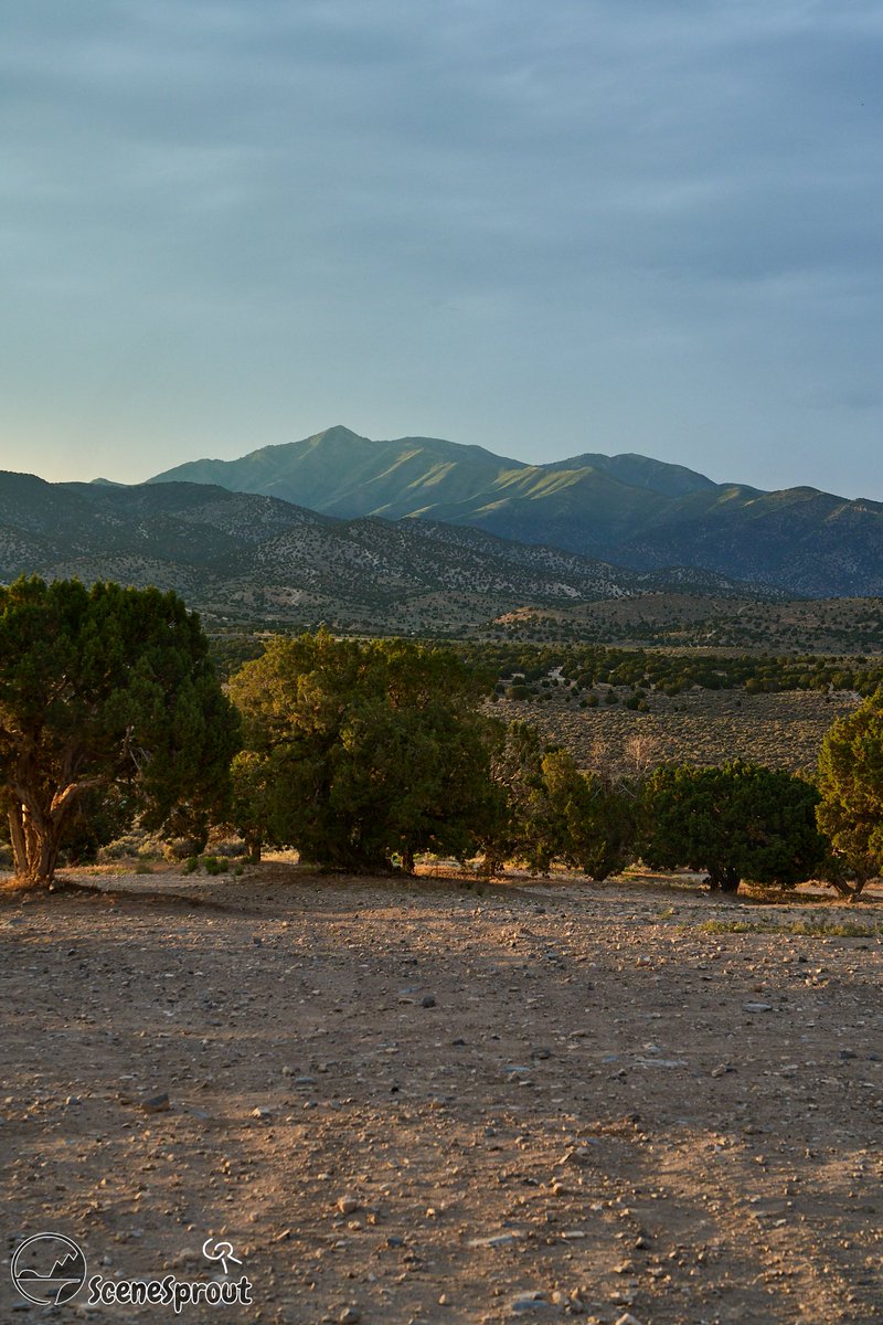 SceneSprout's tweet image. So this coming Friday. July 1st I will be heading to Yellowstone/Tetons for a few weeks and hope to bring back a TON of amazing shots for you all to enjoy. For now though I thought Id share my most recent shots. #NaturePhotography #photo