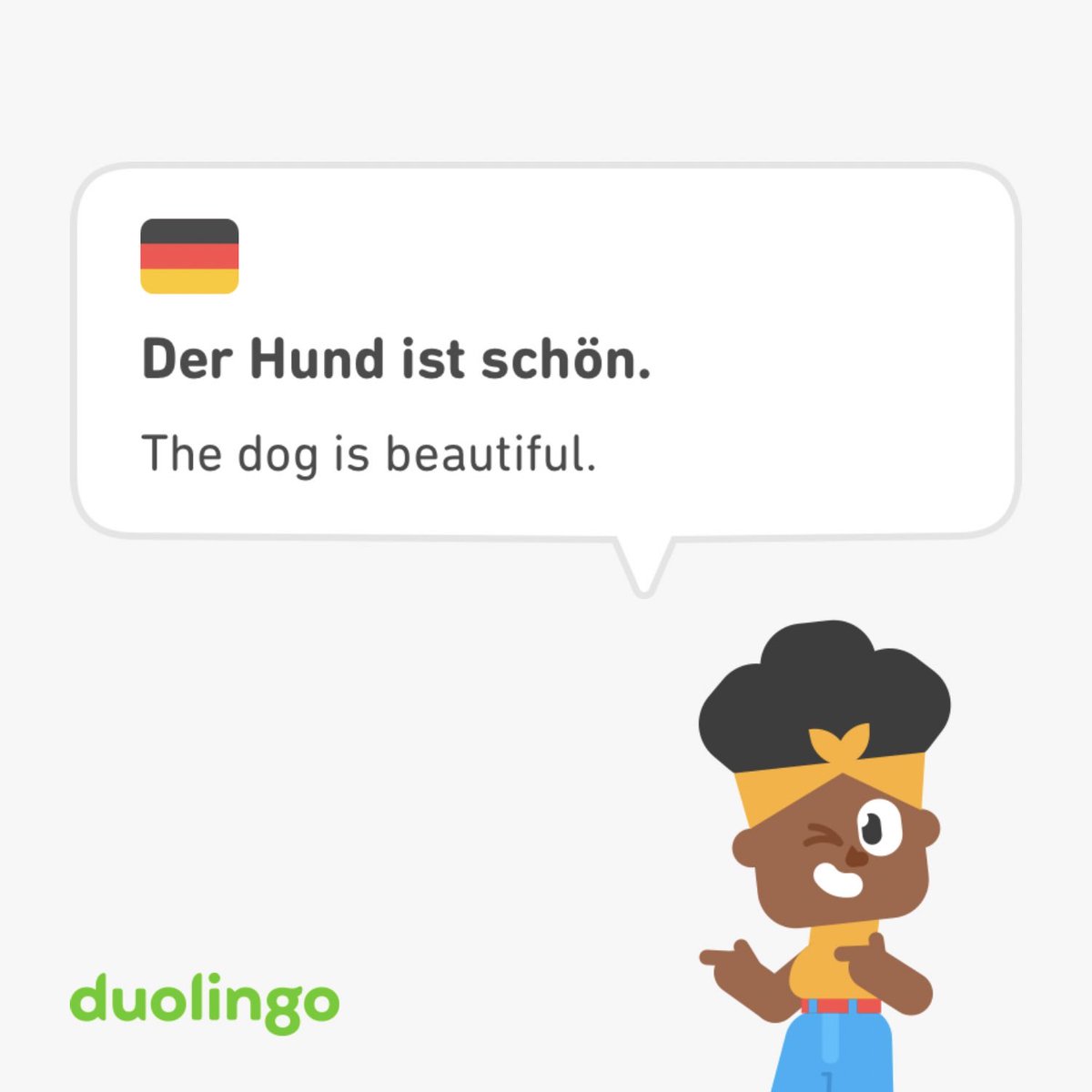 ⁦<a href="/duolingo/">Duolingo</a>⁩ making sure I learn the important phrases 🐕