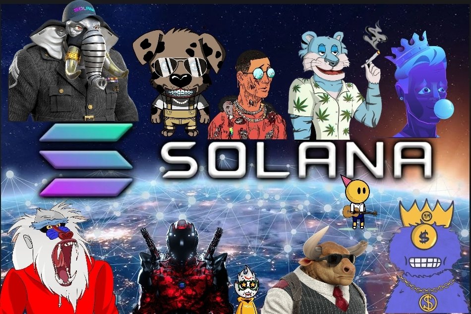 josh_hodlin.sol tweet media