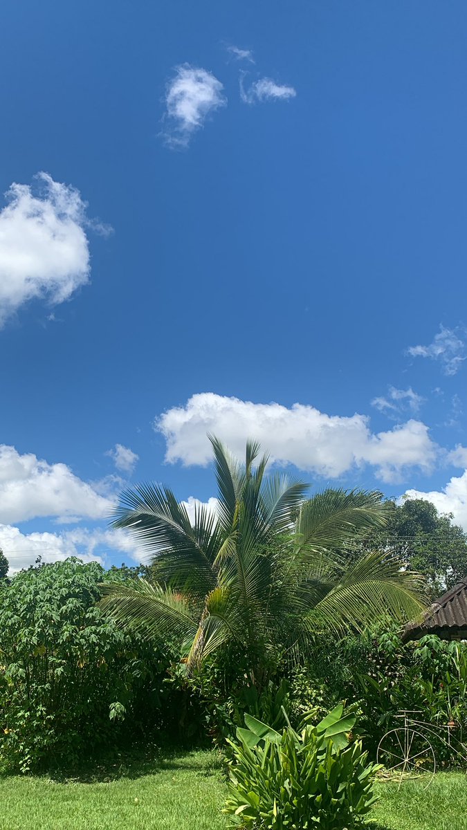 yennyvaca004's tweet photo. Medio día en Villavicencio , azuuuulll, blanco , veeeerrrdeee!!! https://t.co/PSXFpHiMuV