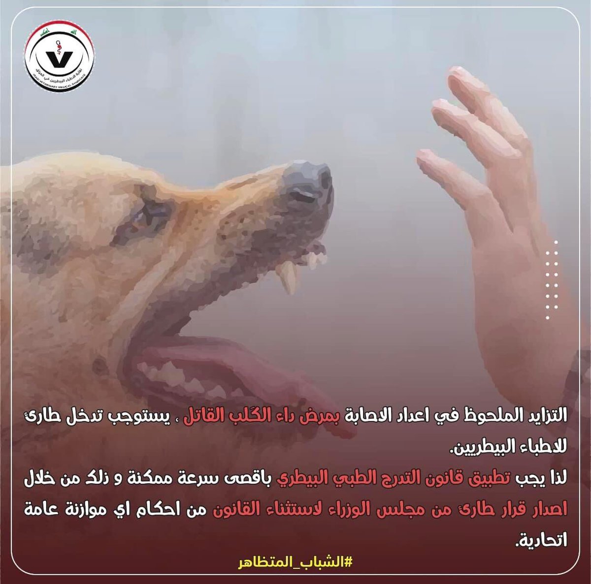 DMarwarabih's tweet photo. #تطبيق_قانون_التدرج_الطبي_البيطري_النافذ https://t.co/bfbJYFVnBO