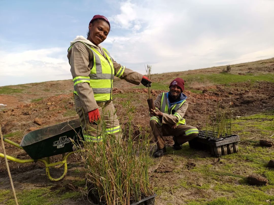 Mosselbank River Conservation Team on Twitter "What is the deal with