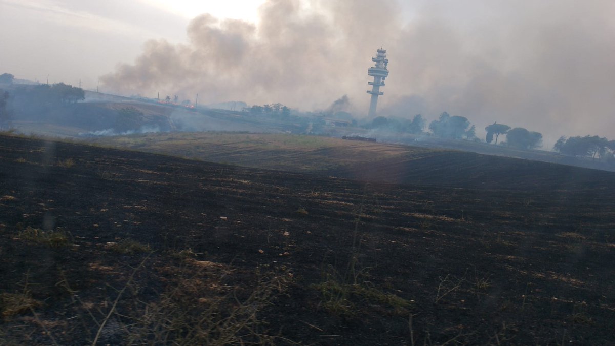 RDAlessio's tweet photo. RT @ARPALazio: Oggi sopralluoghi di personale #ARPALazio dalla sede di Roma per tre diversi incendi: sterpaglie e rimessaggio camper in zona #Aurelia, capannone ad #Ardea e discarica abusiva a #Lunghezza.
Solo nel terzo caso è stato ritenuto necessario i… https://t.co/kQKDsrlSqT
