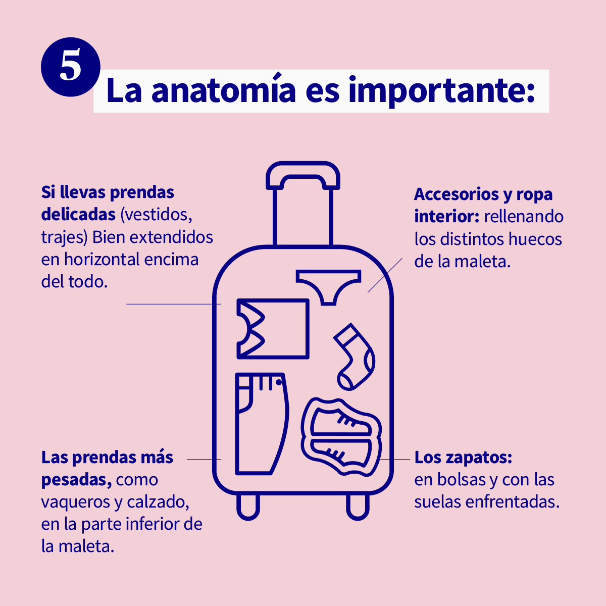 Pbuenoaxa's tweet photo. ¡Te contamos cómo hacer tu maleta perfecta para estas vacaciones! 🧳​

Contáctanos:

Tlf - 653 92 30 49
Correo electrónico - pedro.bueno@agencia.axa.es https://t.co/AUW9951G32