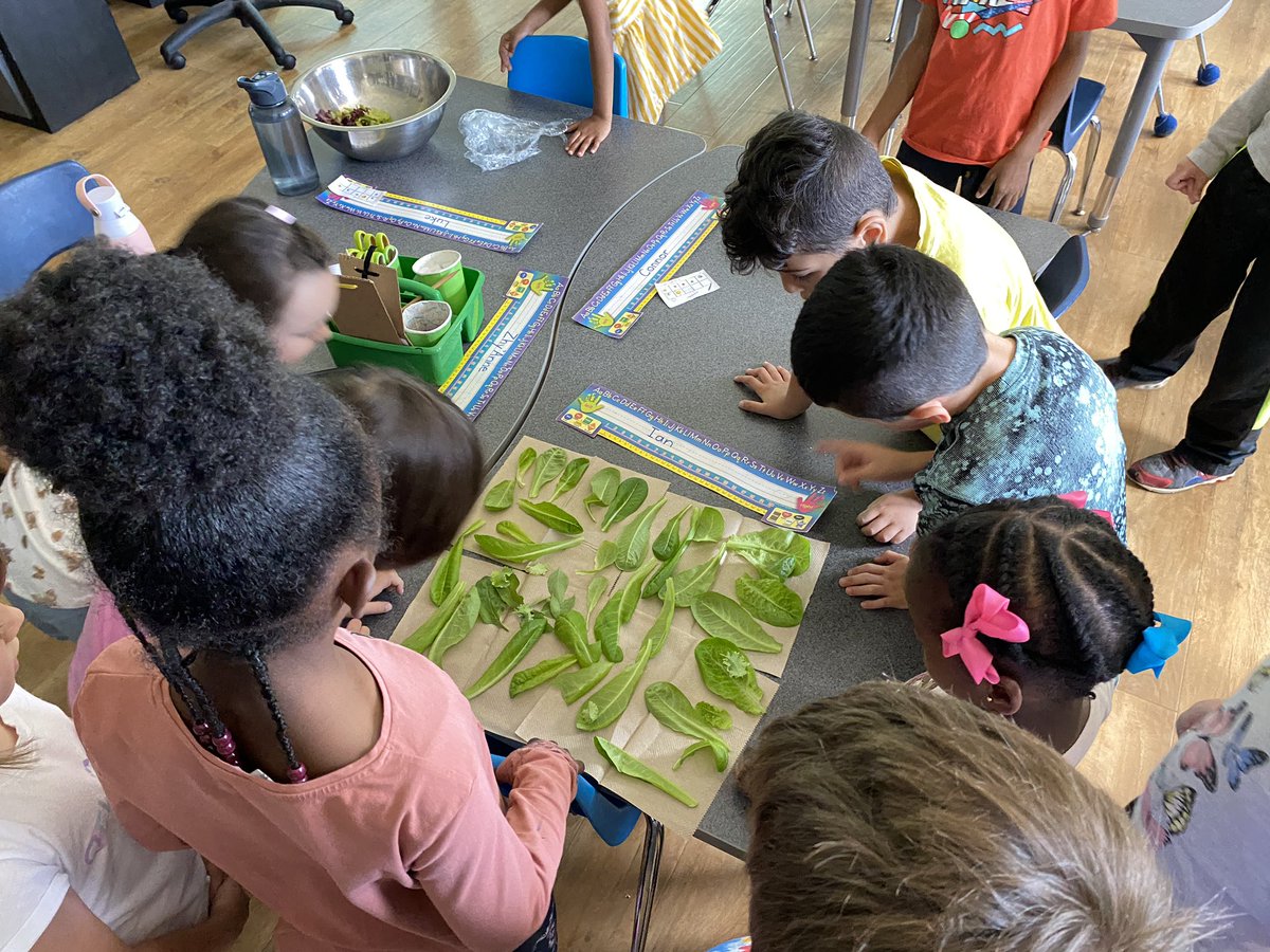 Kathy Ditto tweet media