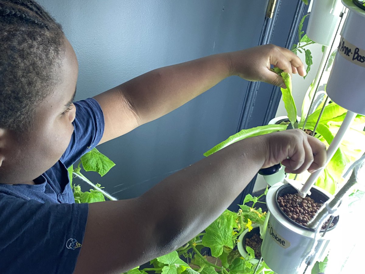 Kathy Ditto tweet media