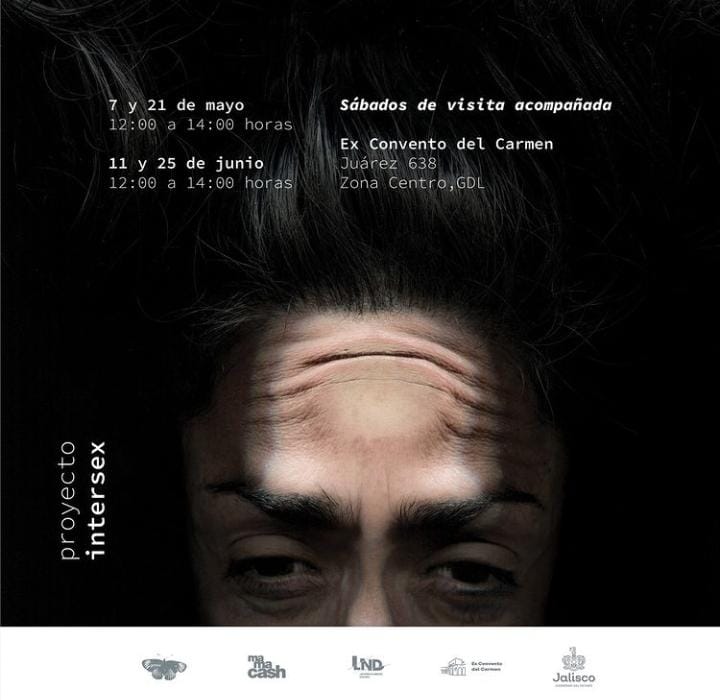 FondoSemillas's tweet photo. Si estás en Guadalajara, no puedes perderte la exposición @ProyectoINTRSX, una potente propuesta que visibiliza algunas historias de personas intersex.
Visítala antes del jueves 30 de junio en el Ex Convento del Carmen. 💛💜
Conoce más aquí👉🏽https://t.co/kMfJpHXvsc https://t.co/phPeCJlDuP