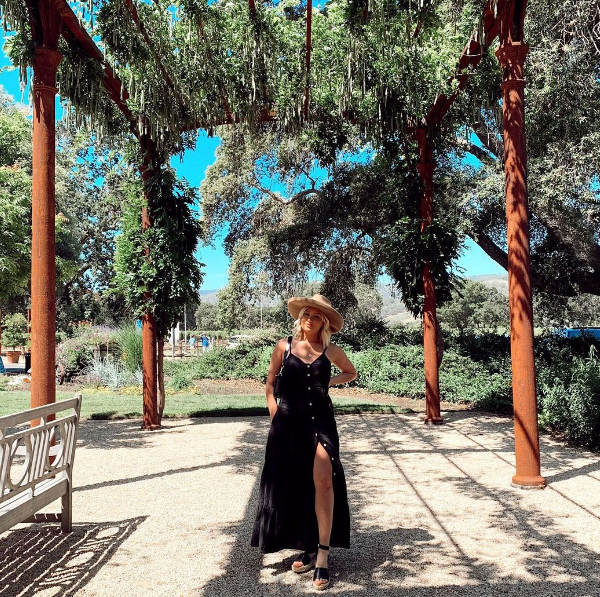 Trefethen Family Vineyards tweet media
