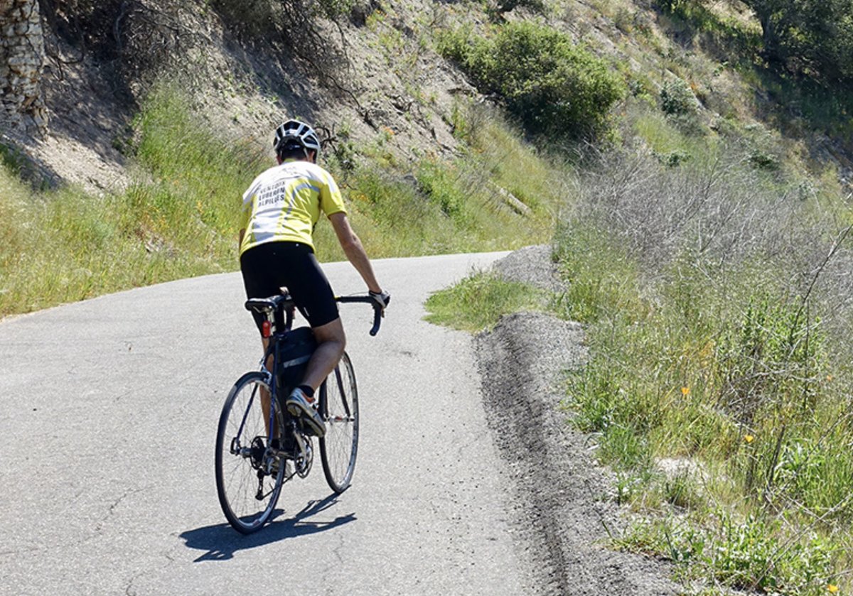 cyclecalcoast's tweet photo. Challenge: Drum Canyon Loop 🚲

Length: 44.1 miles

This route climbs through vineyards, along rolling hills with ancient oak trees, cattle, and horse ranches. You'll feel far afield, even though you're only 45-min from #SantaBarbara: https://t.co/9qNinyd8mD

#CycleCalCoast https://t.co/bdSvqiisS3