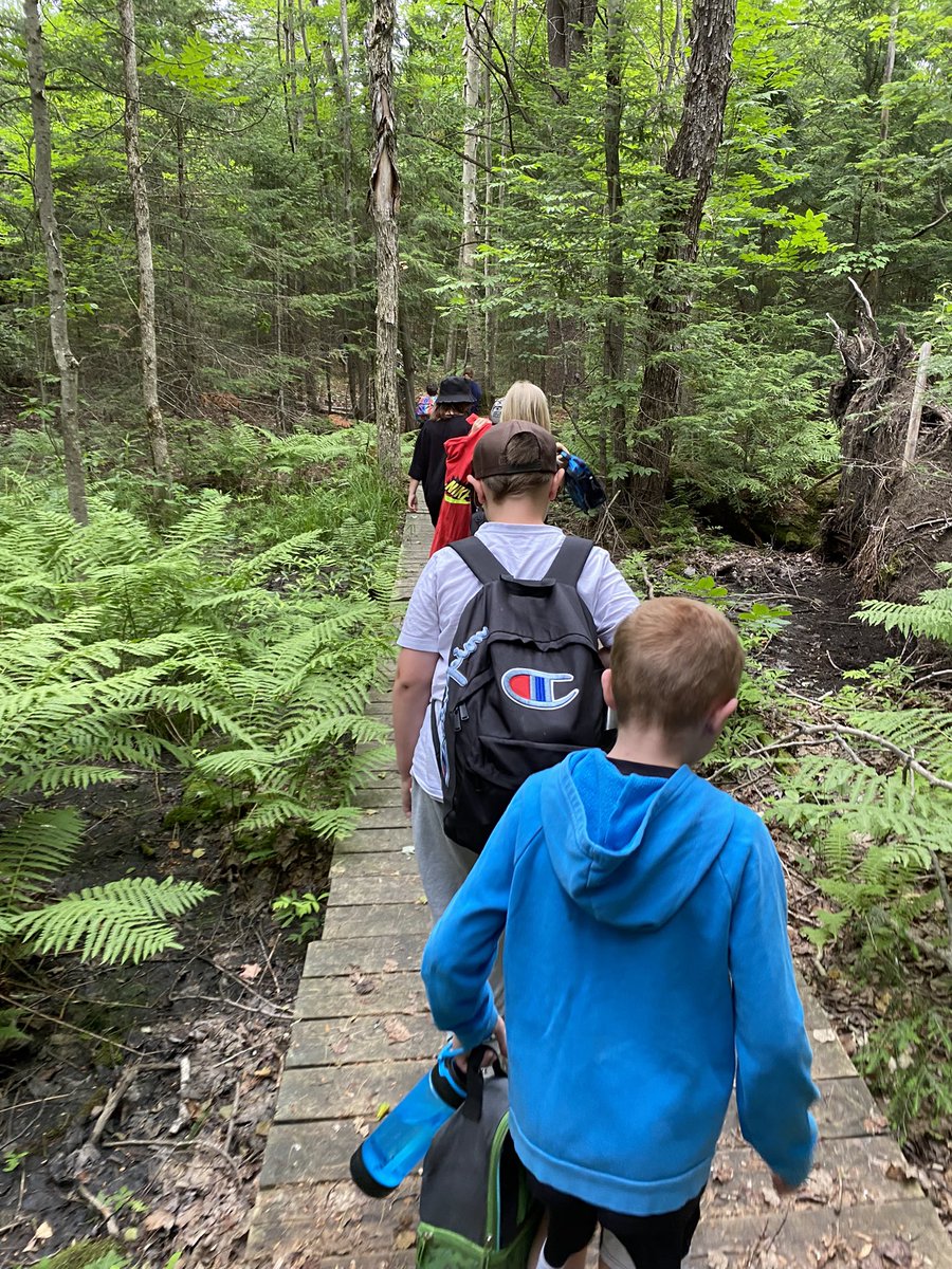 darcybeathune's tweet photo. Right here, right now... @WattPS Teddy Bear Picnic at the Fish Hatchery. Forest magic, ukulele sing-songs, picnic lunch and a massive soccer game #OutsideIsTheBestSide @TLDSB https://t.co/2br3tFzZKr