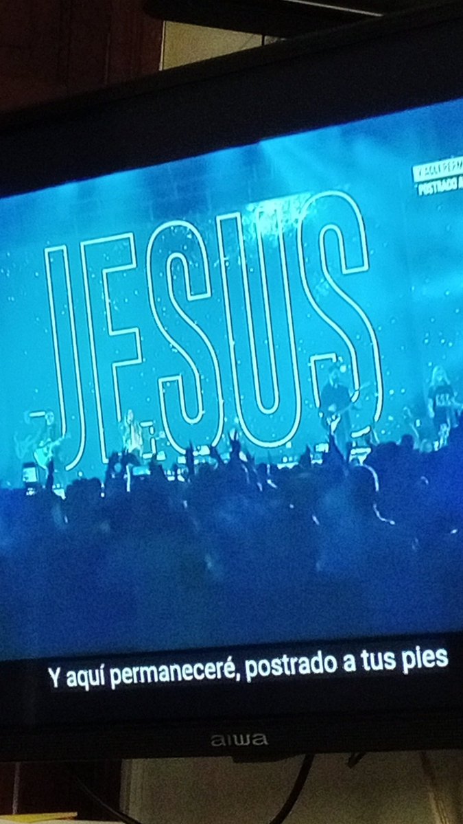 Sunflower tweet media