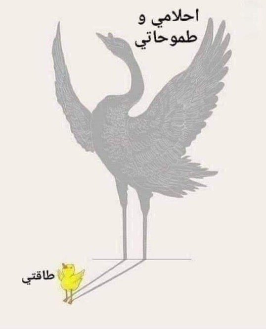 egymeme11's tweet photo. https://t.co/2etWwniKS1