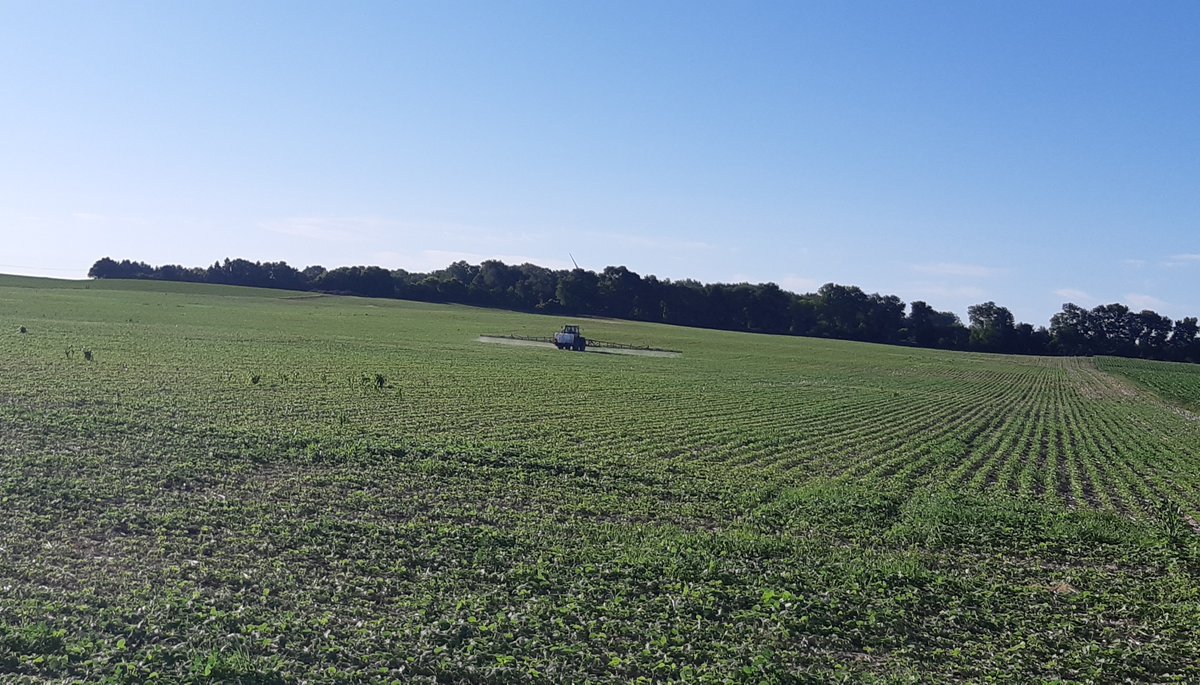 Not the best photo, but this was a beautiful sight in 6 km/hr winds this am