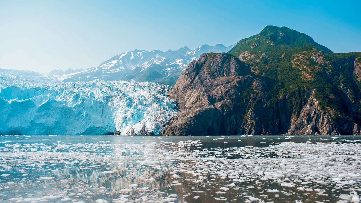 Alaska Airlines tweet media