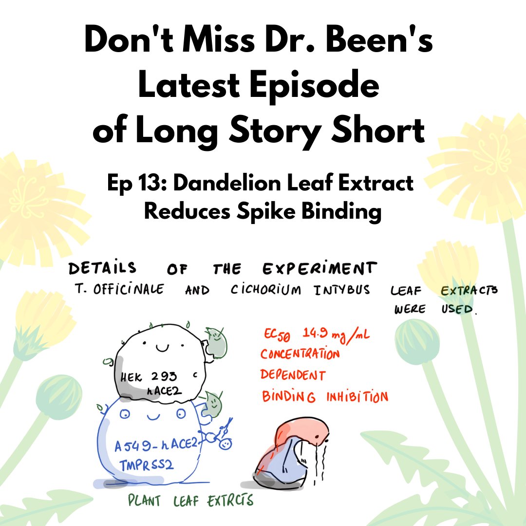 Honest_Medicine's tweet photo. Did you miss Dr. Been's latest episode of Long Story Short? Watch now: https://t.co/abT1hl6Tzb @drbeen_medical
#FLCCC #longstoryshort #drbeen #dandelionleaf https://t.co/EPyznHkz2c