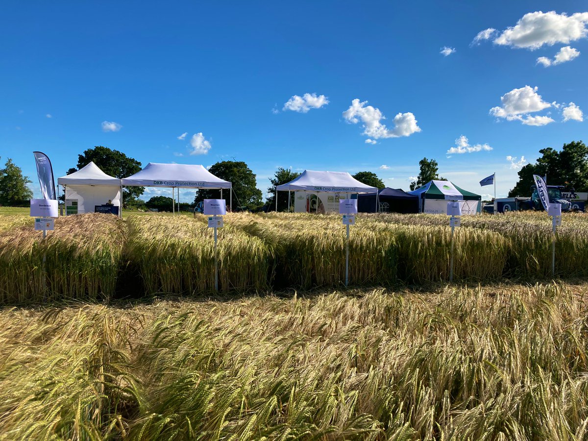 Mathew Barnes tweet media