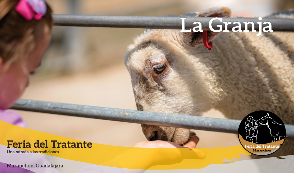 En la II Feria del Tratante de Maranchón, los niños podrán disfrutar de los animales domésticos que traeremos a nuestra 𝗚𝗿𝗮𝗻𝗷𝗮 𝗜𝗻𝗳𝗮𝗻𝘁𝗶𝗹. Podrán acercarse, jugar y aprender sobre ellos.
#feriadeltratante
#maranchon
#guadalajara
➕ info en Google: Feria del Tratante