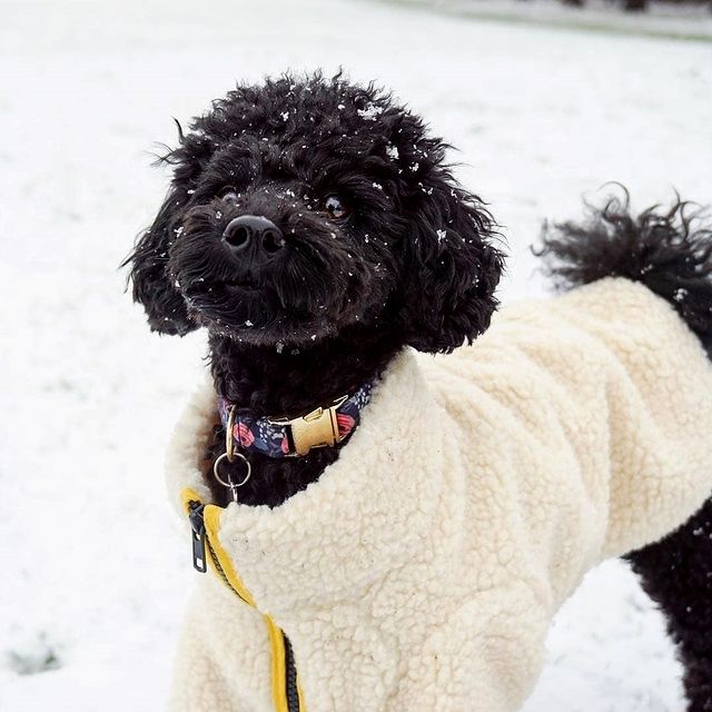 jams.Welsh (@georgeamey9) on Twitter photo 