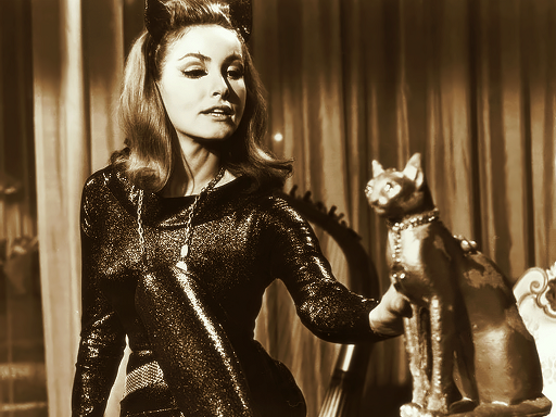 Vintagephotos On Twitter Julie Newmar As Catwoman