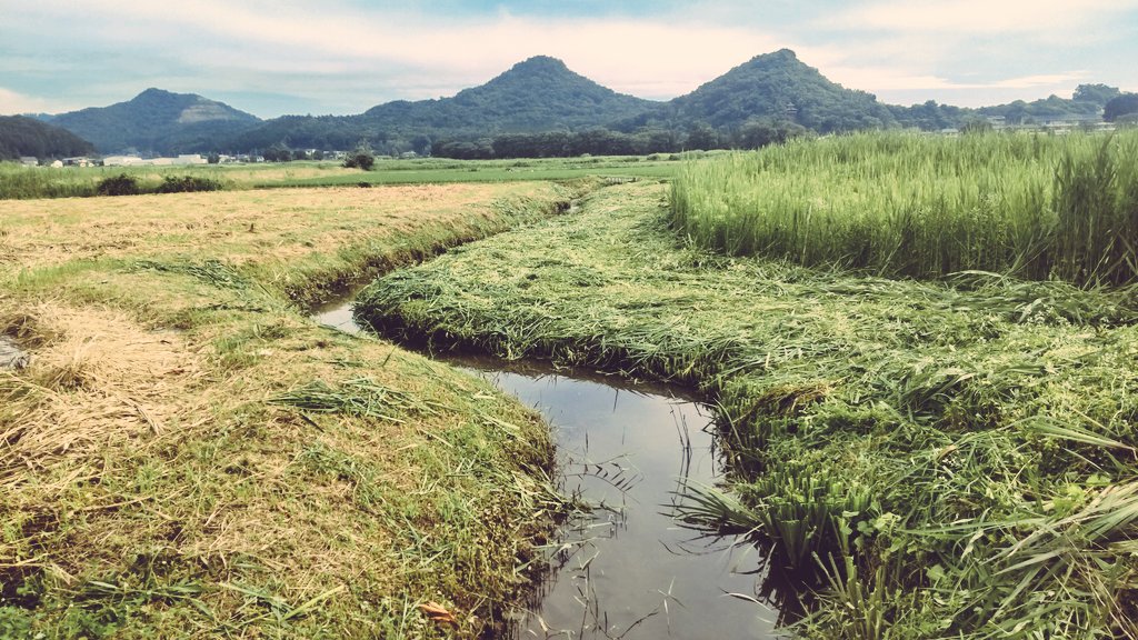 ENOTAROJIRO's tweet photo. 弁天池の水は大地へ。
注ぐ水、守る人、大地は
私たちの誇りです🌿
The water from Benten Pond goes to the rice fields to the south.
"water pouring," "Guardians,"and "earth" are our pride🌿
#出流原弁天池
#まちの駅名水弁天池の駅
#佐野市 #栃木県
#sanocity #tochigi #japan
#Preciouswater https://t.co/L3uLak6l6e