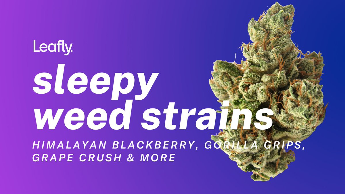 Leafly's tweet photo. Drop in and drift off with these dreamy strains. https://t.co/JFlCQfjUNd https://t.co/ou3Aje7W9N