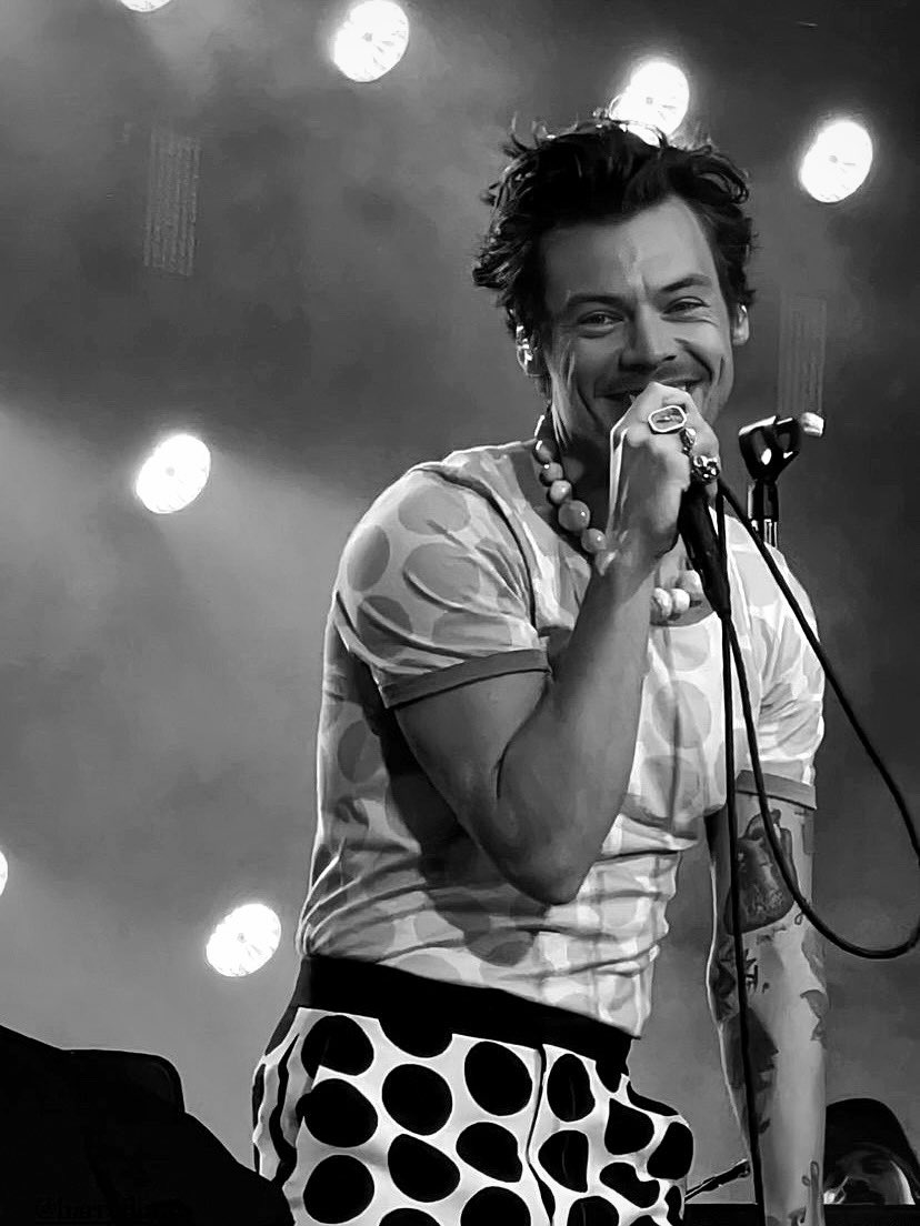 best of harry. (@theharrylibrary) on Twitter photo 