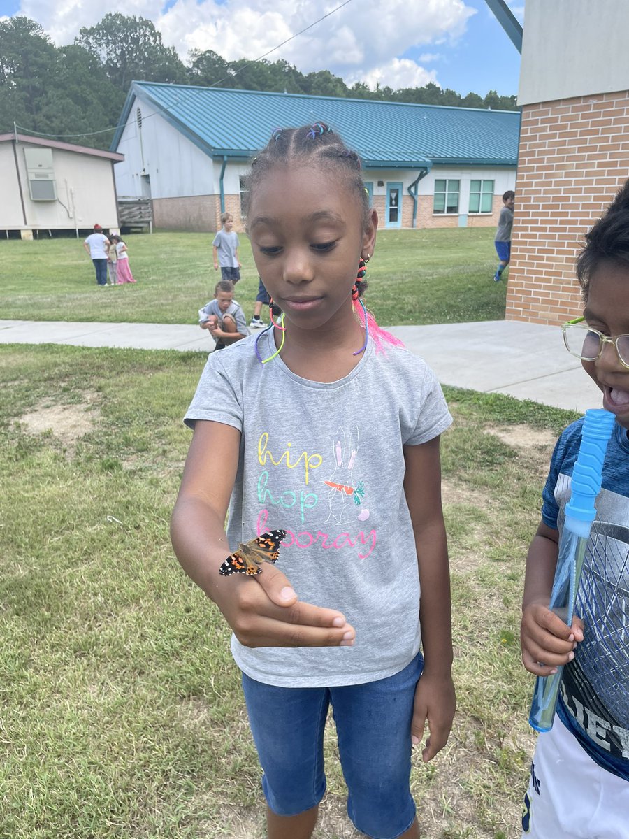 Liberando Mariposas 🦋🦋🦋 @HodgeRoadES @ParticipateLrng #Untingourworld