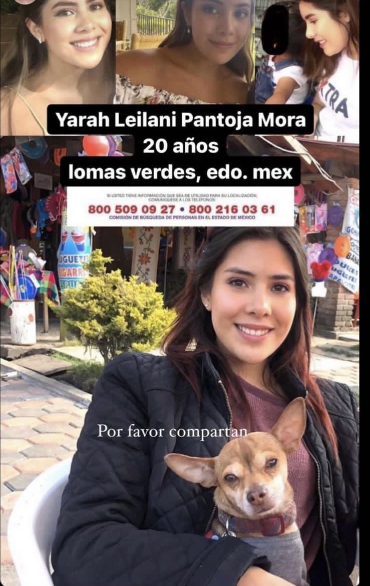 Cardós tweet media