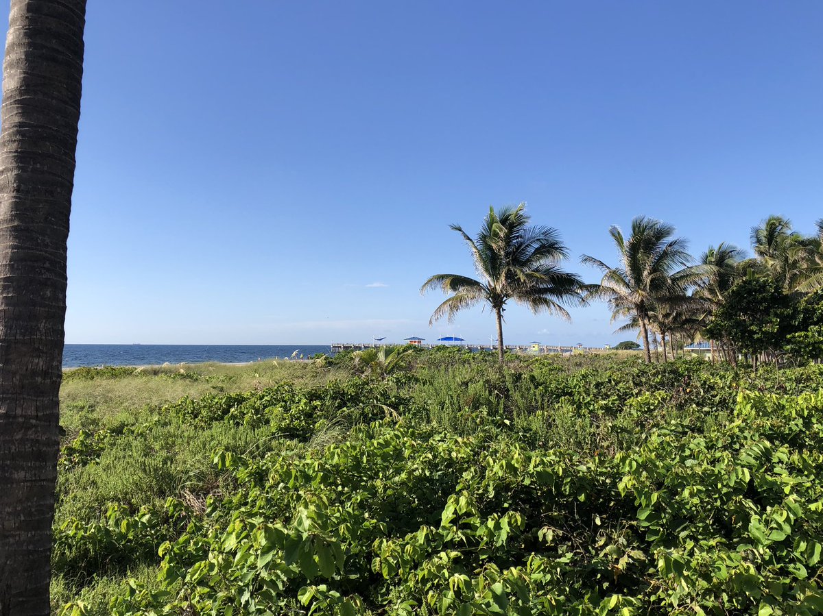 The visual pay for today’s morning… <a href="/runtagit/">RunTagIt</a>