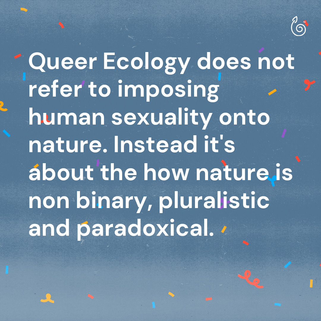 plant_futures's tweet photo. There are many things in nature that are unexplained or do not make sense. Nature and the environment always take us by surprise and prove us wrong. Queering ecology is the act of broadening our understanding of our relationships with the larger world that is more than human. https://t.co/dZVtvnTEj3