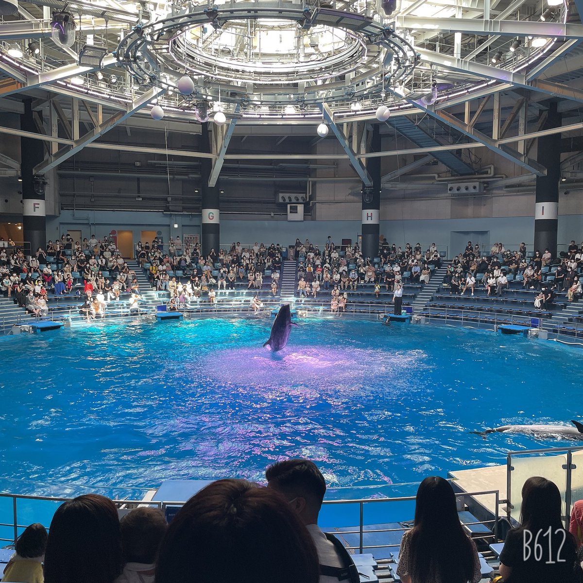 mugimugi_poco's tweet photo. 昨日は都内にでる

用事があったので

ついでに少し

遊んで帰ってきました🐬💗

タイ料理すきーー🇹🇭 https://t.co/eeSYZIYFb5