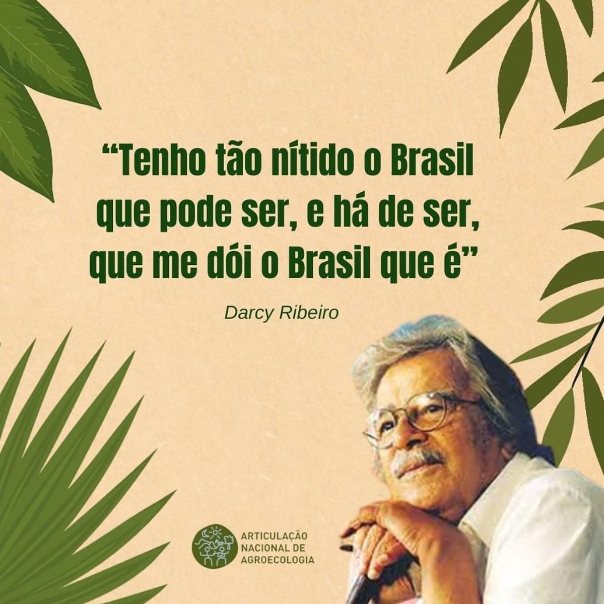 Araucária tweet media