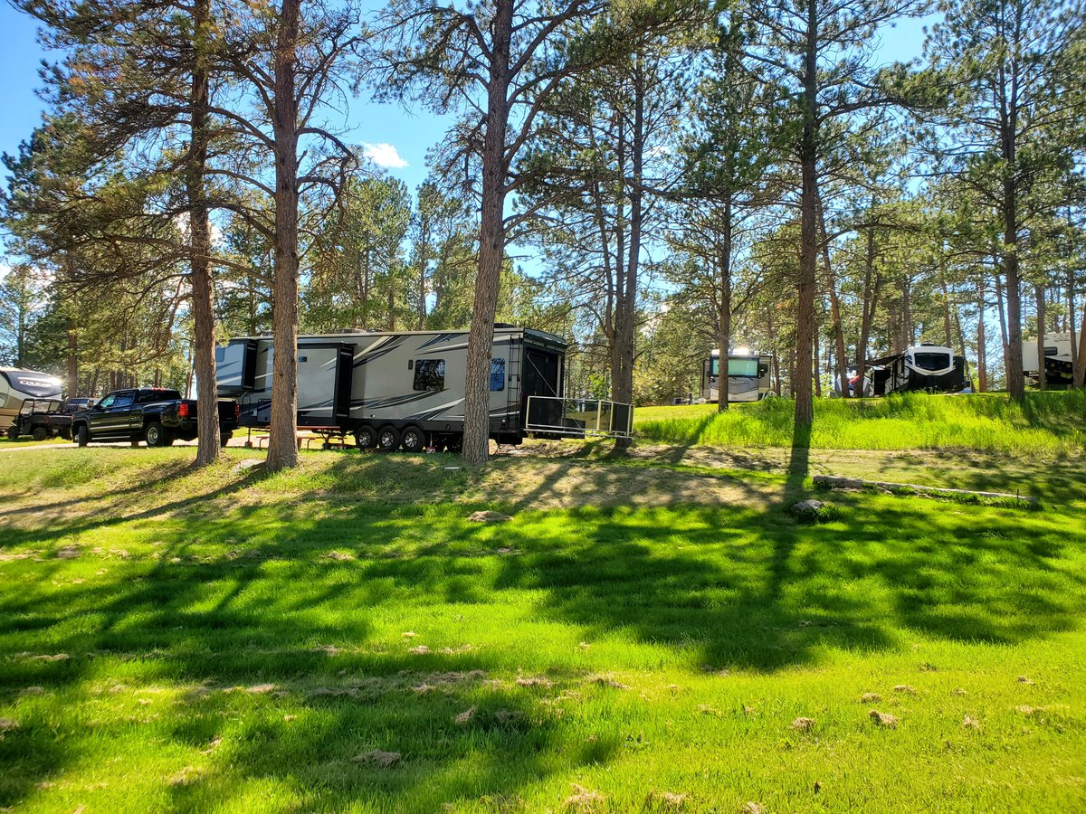 BeaverLakeCamp's tweet photo. Even when we are full it feels like we have so much space 🥰🌲🌸🌳🌷🌞 #camping #glamping #custer #custersd #hifromsd #rvlife https://t.co/jgp3NhhO2i