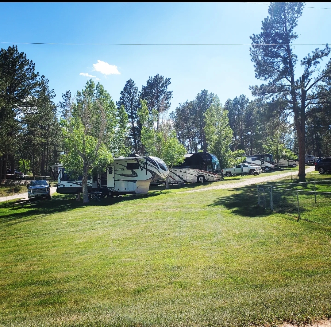 BeaverLakeCamp's tweet photo. Even when we are full it feels like we have so much space 🥰🌲🌸🌳🌷🌞 #camping #glamping #custer #custersd #hifromsd #rvlife https://t.co/jgp3NhhO2i