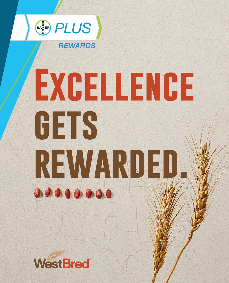 WestBredWheat's tweet photo. Get rewarded for excellence. Start earning cashback on eligible WestBred purchases with Bayer PLUS Rewards. π° #FitForYourOperation #Grow22 @BayerCropProUS
https://t.co/fg2mF9G3TF https://t.co/7U4qGFdboL