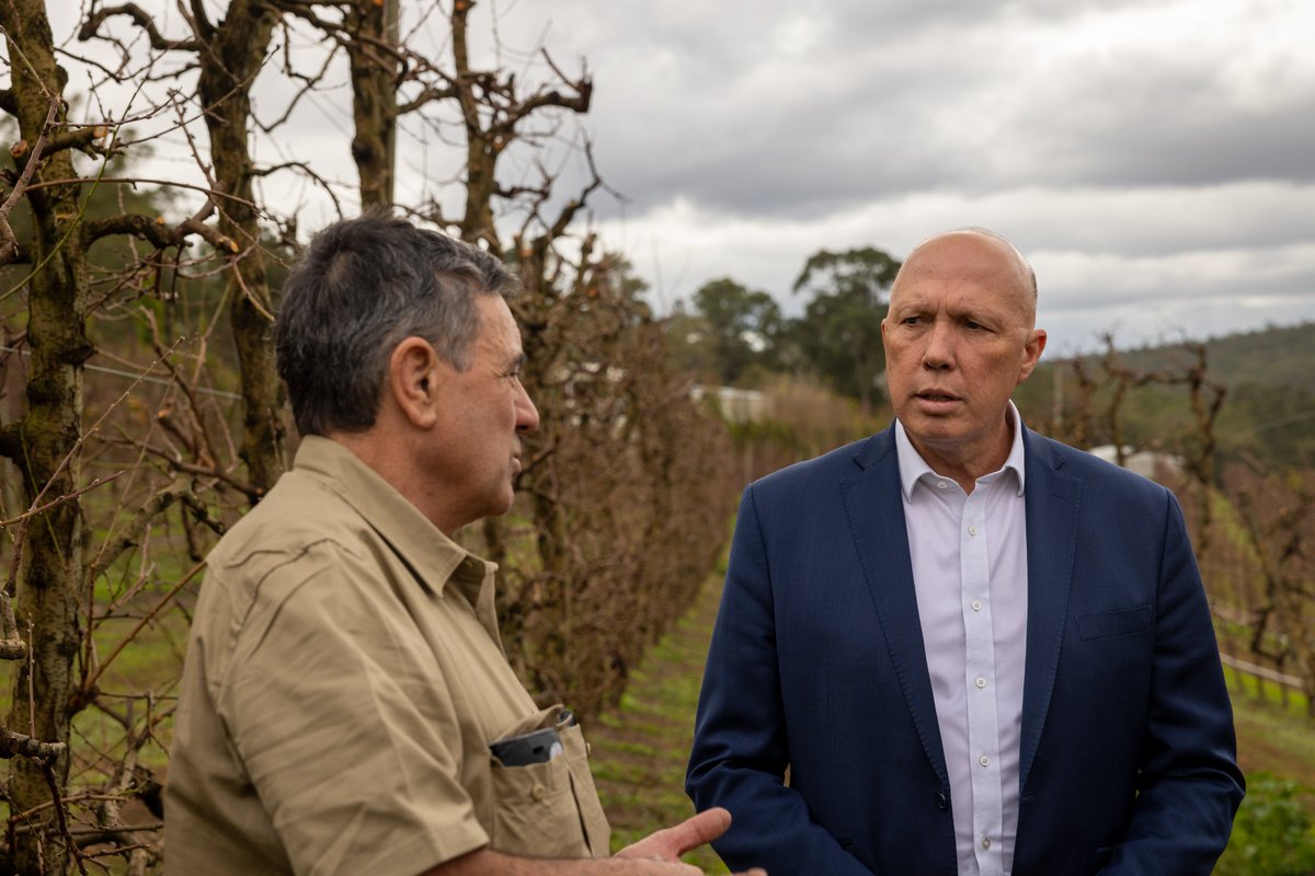 Peter Dutton tweet media
